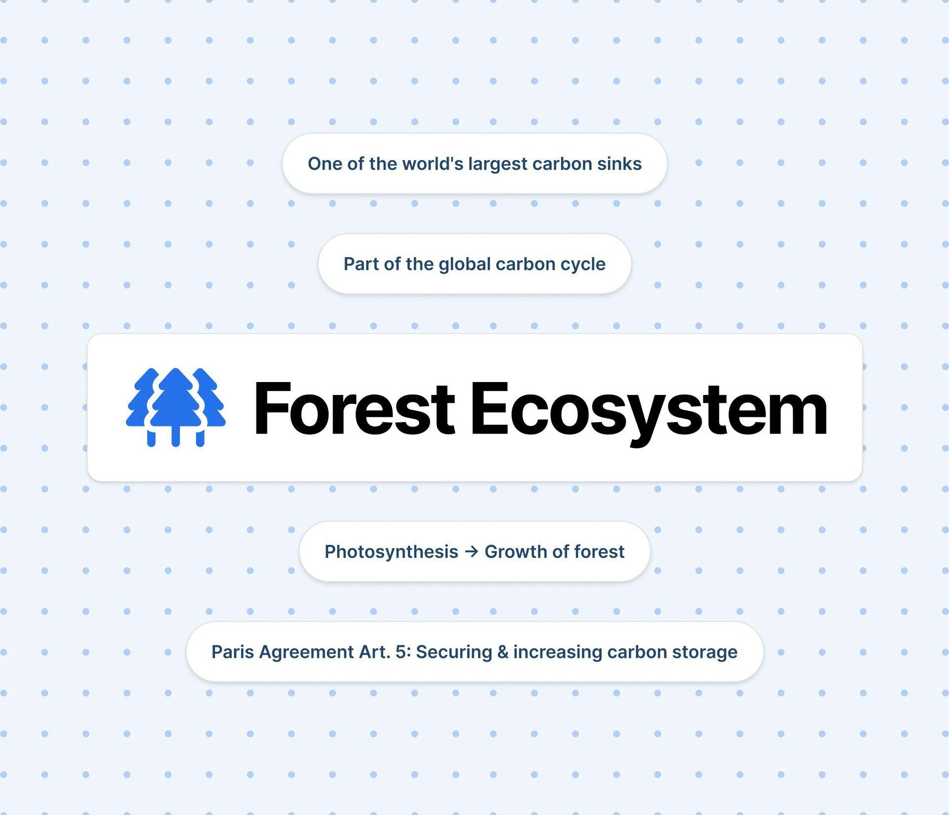 Tree Icon wit Tags and forest images